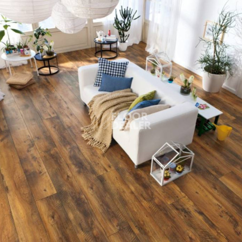 Haro Tritty 100 Gran Via 4V ДУБ АЛЬТХОЛЬЦ 526712 фото 3 | FLOORDEALER